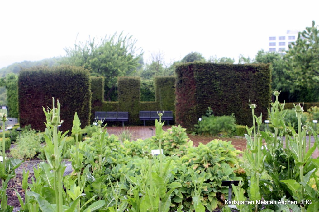 Der lange Weg zu&nbsp;Karlsgärten